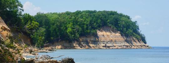 Photo of Calvert Cliffs State Park