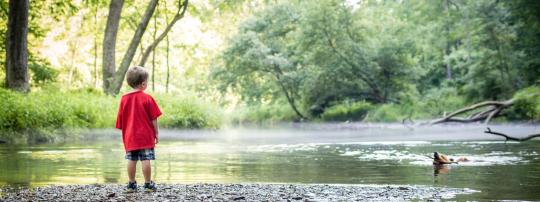 Photo of Gunpowder Falls State Park