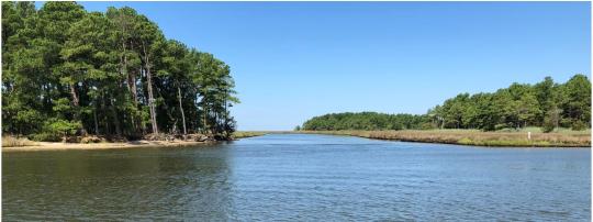 Photo of Janes Island State Park