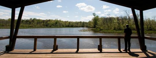 Photo of Martinak State Park
