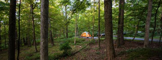 Photo of New Germany State Park