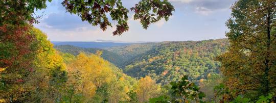 Photo of Savage River State Forest