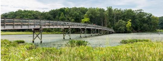 Photo of Smallwood State Park