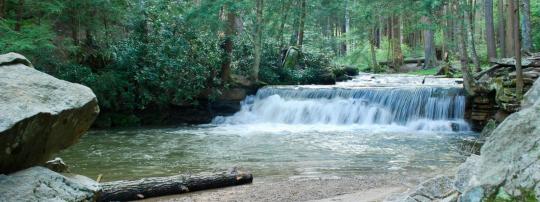 Photo of Swallow Falls State Park