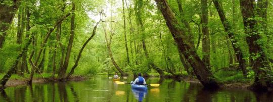 Photo of Tuckahoe State Park