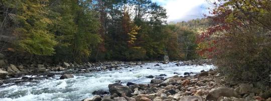 Photo of Wolf Den Run State Park